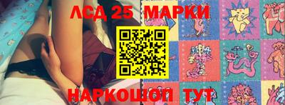 прущие грибы Ставрополь