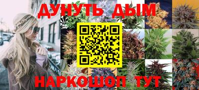 спиды Сланцы
