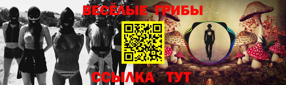 Псилоцибиновые грибы GOLDEN TEACHER  Вход с VPN  Нижнекамск 